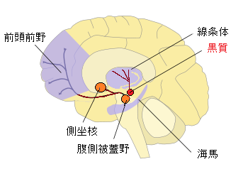 鬱（うつ）の悩みを解消する気功セミナー
