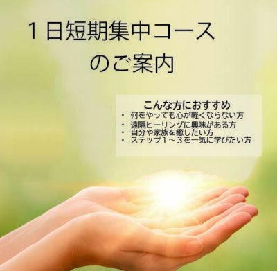 １日短期集中コースのご案内
